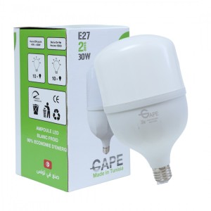 Ampoule Led E27 - 30W