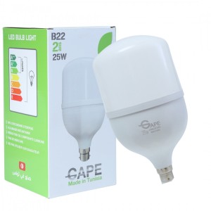 Ampoule Led B22 - 25W