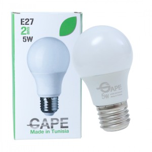 Ampoule Led E27 - 5W