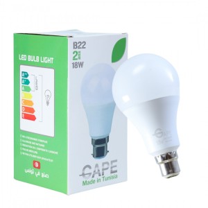 Ampoule Led B22 - 18W