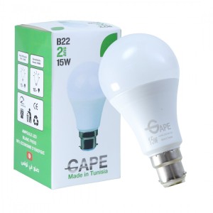 Ampoule Led B22 - 15W